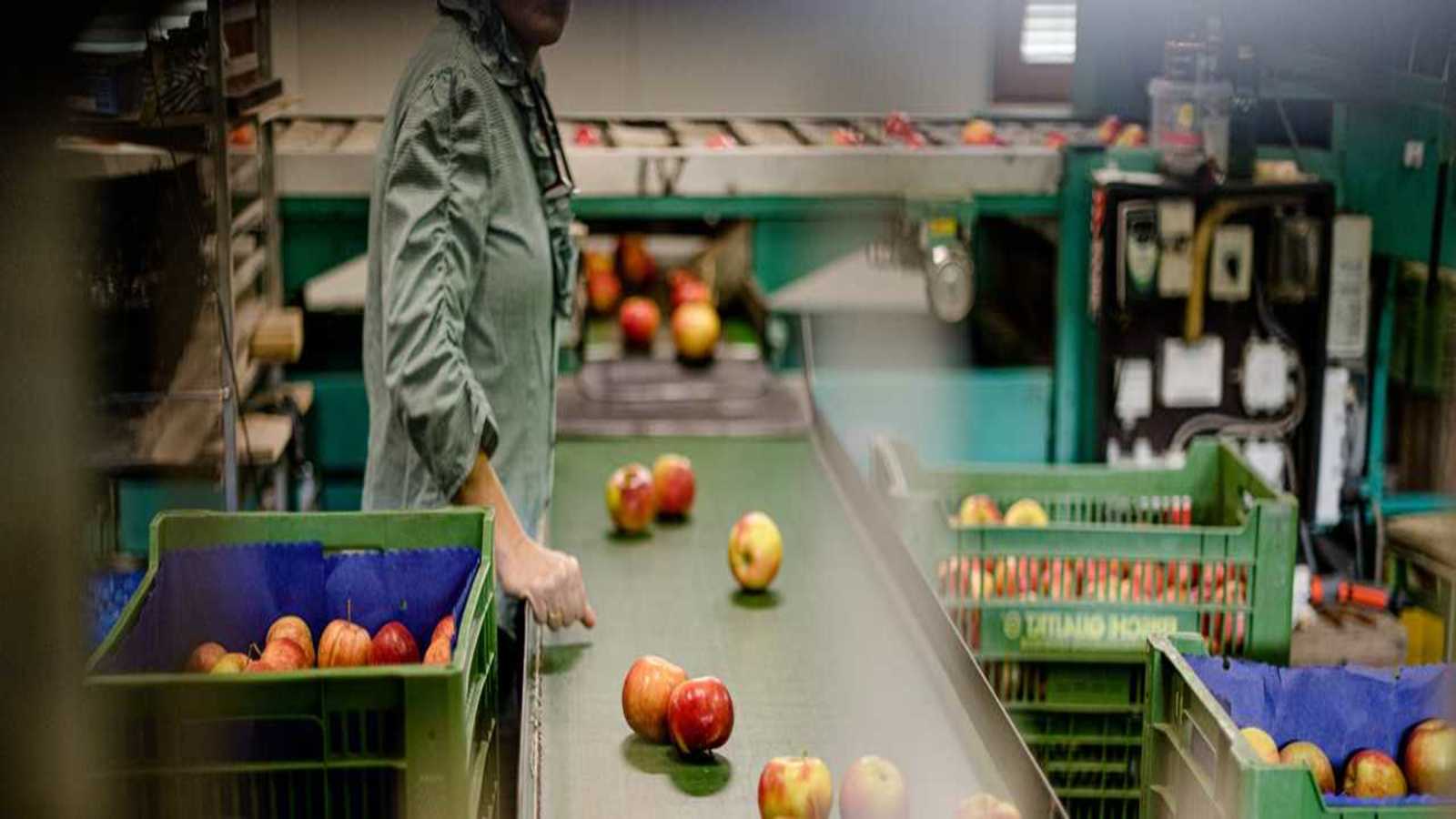 Thumbnail for Olam seeks to raise US$188m from Singapore’s debt market even as it extends its food prize application deadline