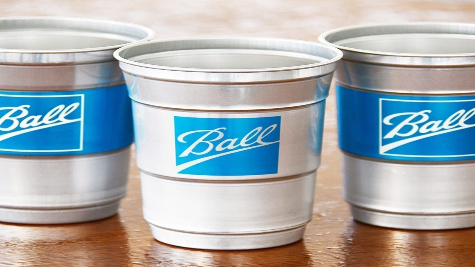 Thumbnail for South Africa’s expansive blueberry orchard United Exports gets US$3.6m support from IFC, FMO