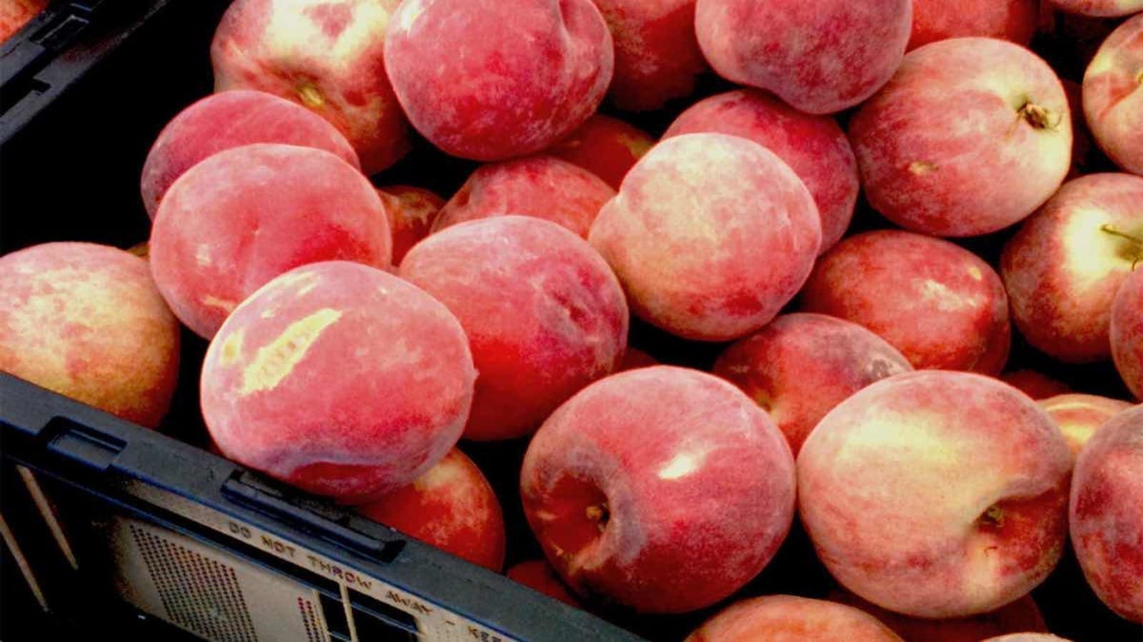 Thumbnail for SA’s beer industry crosses fingers that the alcohol ban won’t prolong beyond mid-January