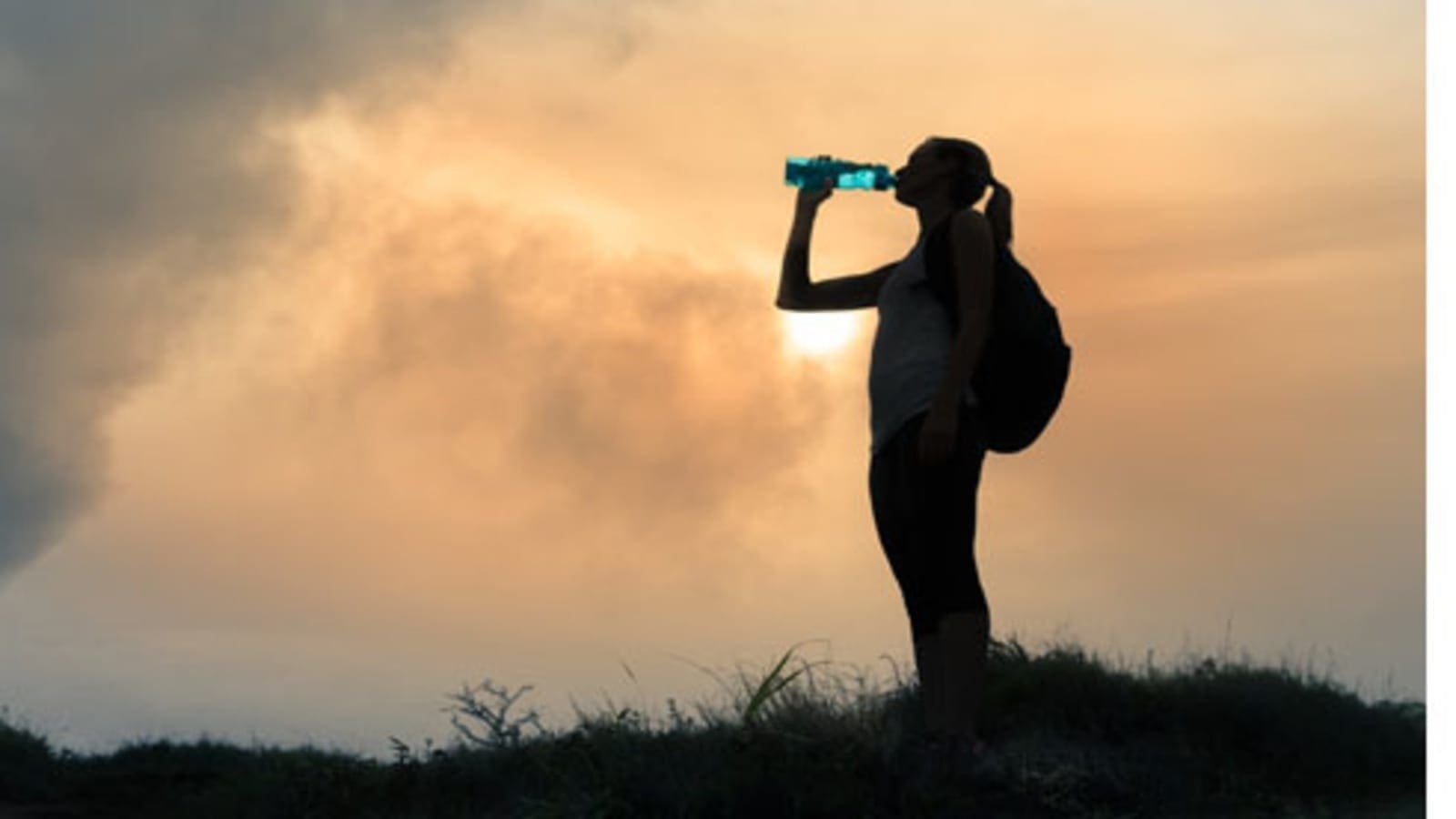 Thumbnail for Mondi acquires Olmuksan to bolster position in growing Turkish corrugated packaging maker