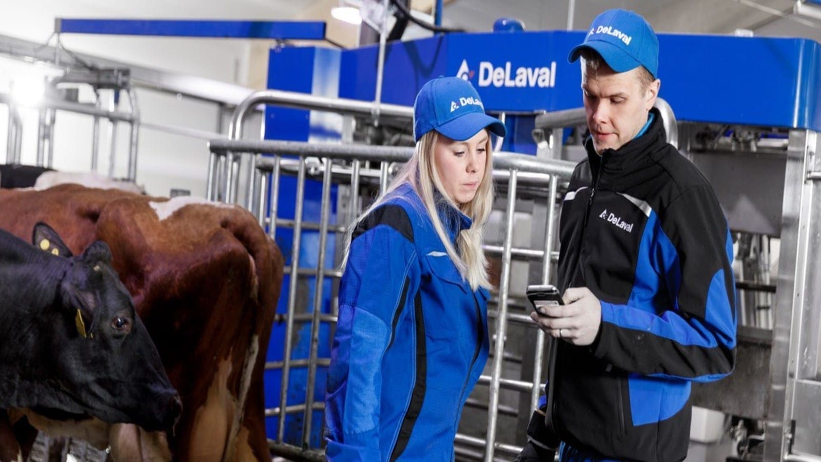 Thumbnail for Ghana boosts local consumption of cocoa-derivative products with week-long chocolate campaign