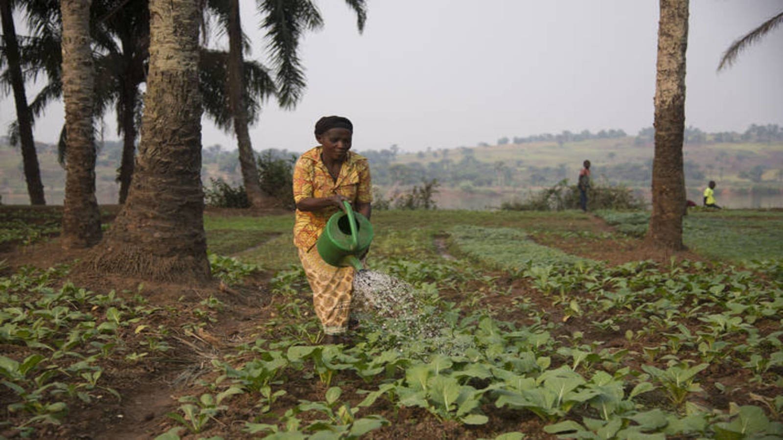 Thumbnail for SAB Foundation names winners of the Social Innovation and Disability Empowerment Awards