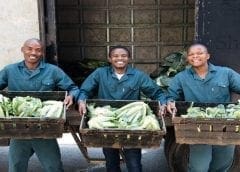 Thumbnail for SAB Foundation names winners of the Social Innovation and Disability Empowerment Awards