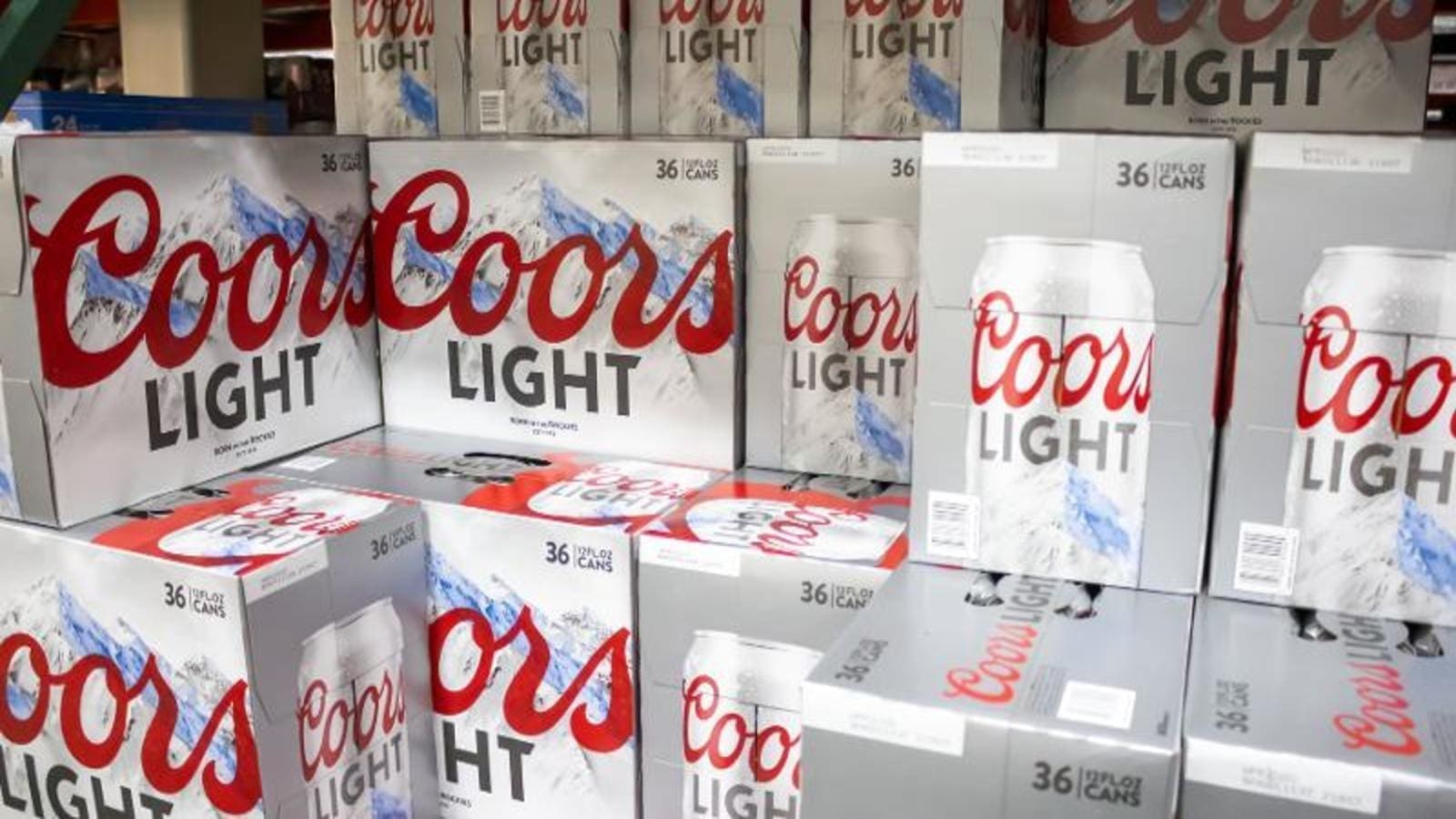 Thumbnail for West Africa to earn US$1.5 billion from sale of cashew, spearheaded by new USDA, TechnoServe programs