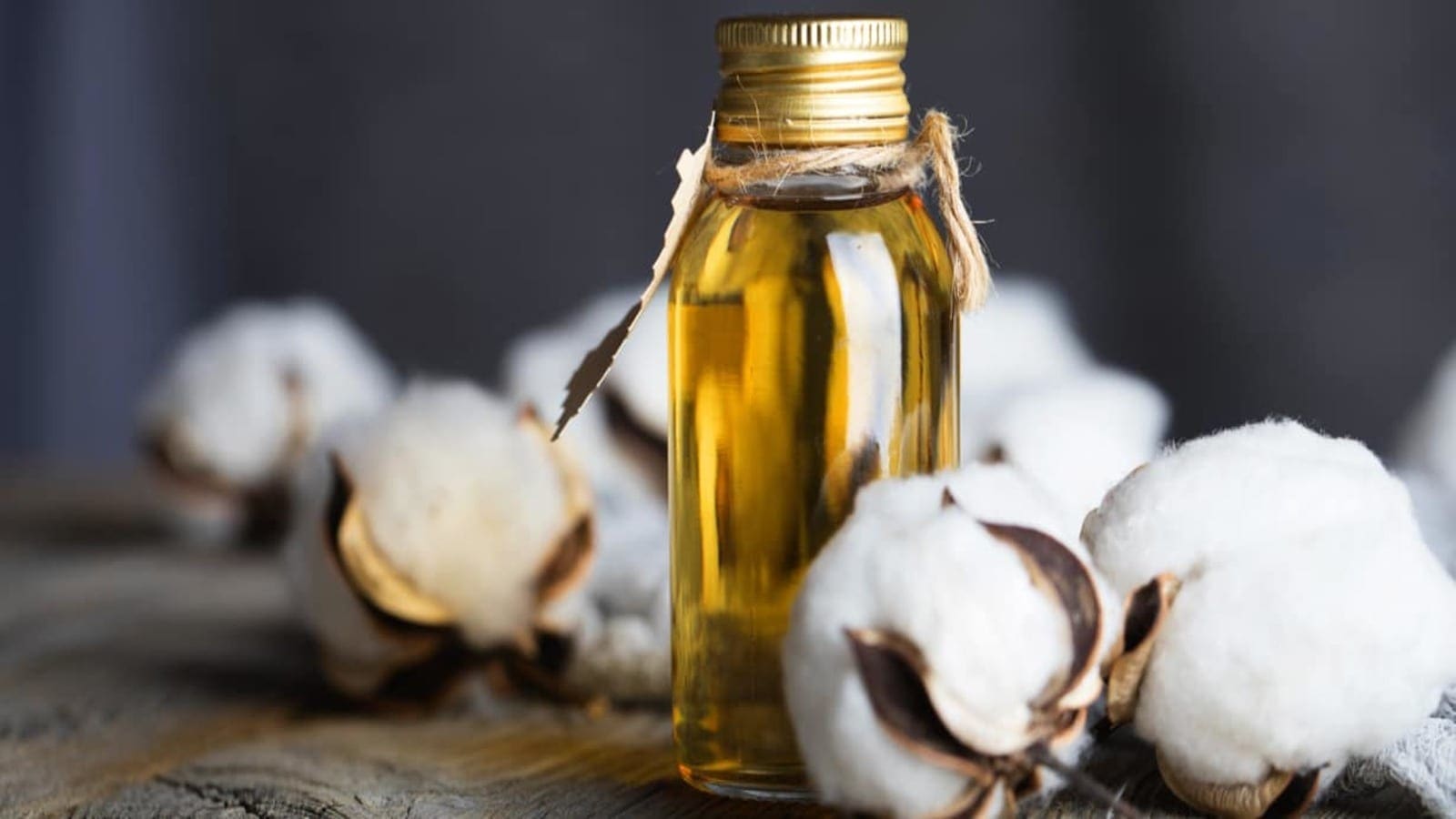 Thumbnail for Cameroonian SODECOTON to build US$45.5m cottonseed oil plant, Ethiopian edible manufacturer expands facilities