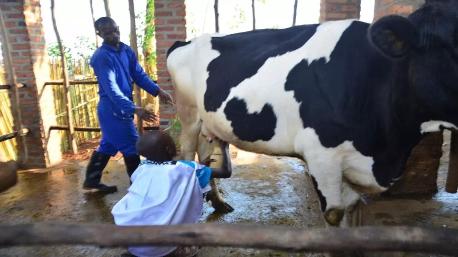 Thumbnail for Starbucks opens 40 new coffee stores in India as KFC doubles down on women employment