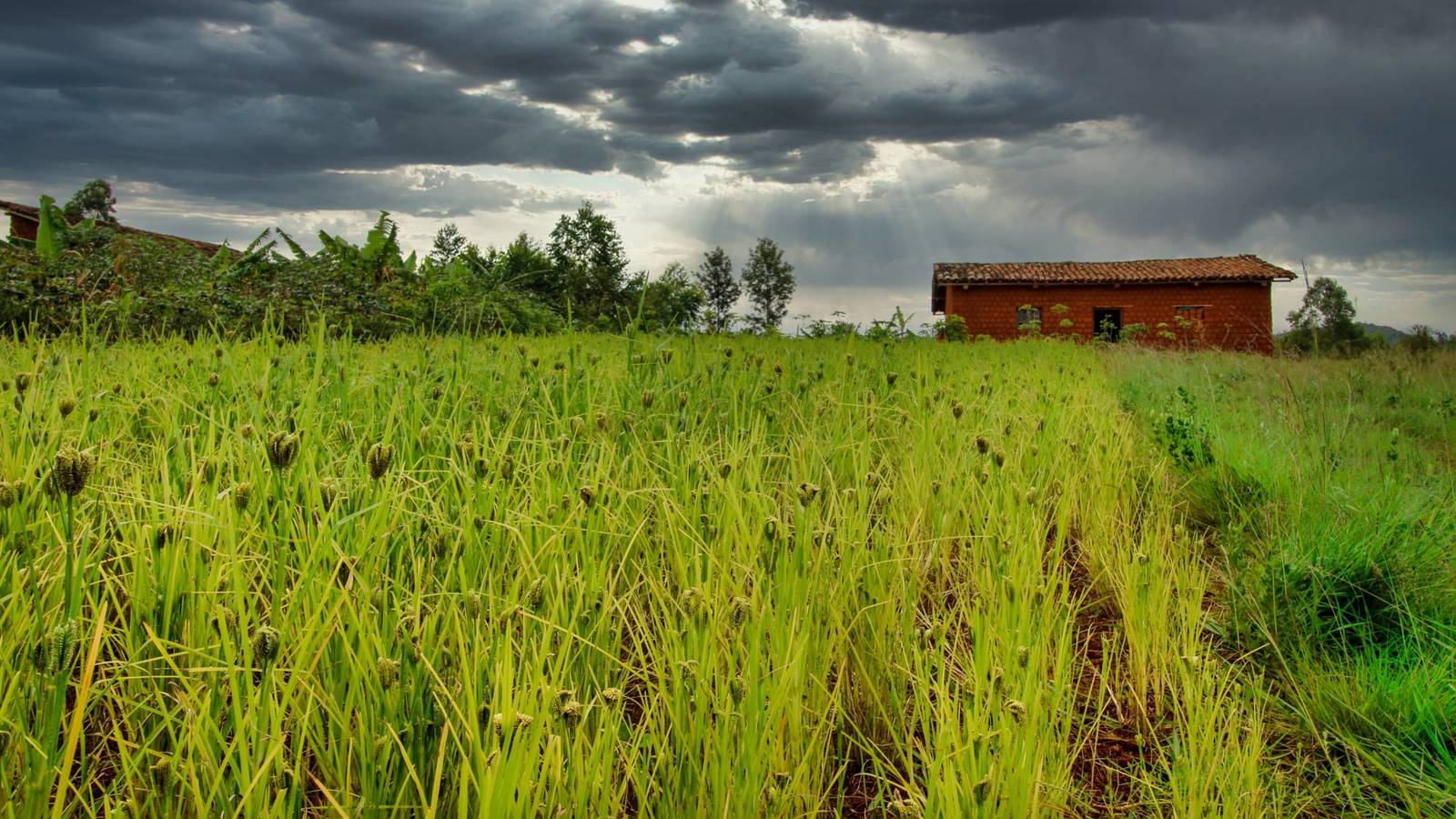 Thumbnail for Mondelēz doubles down sustainability efforts with new pledge to reduce new plastic use in packaging