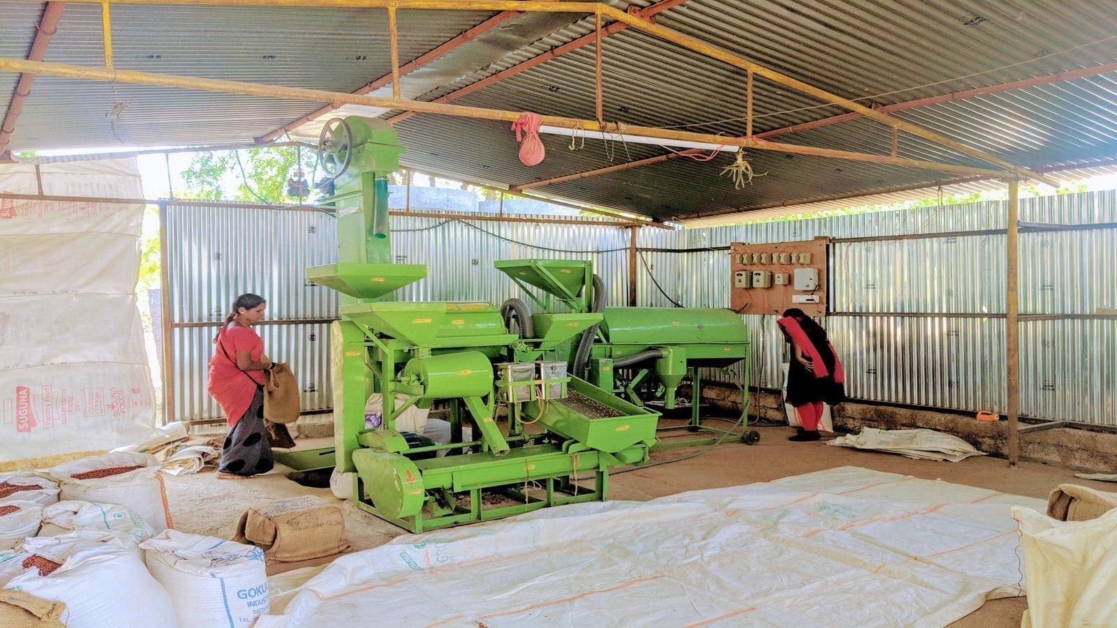 Thumbnail for Burger King taps industry veteran Tom Curtis for  Chief Operating Officer role