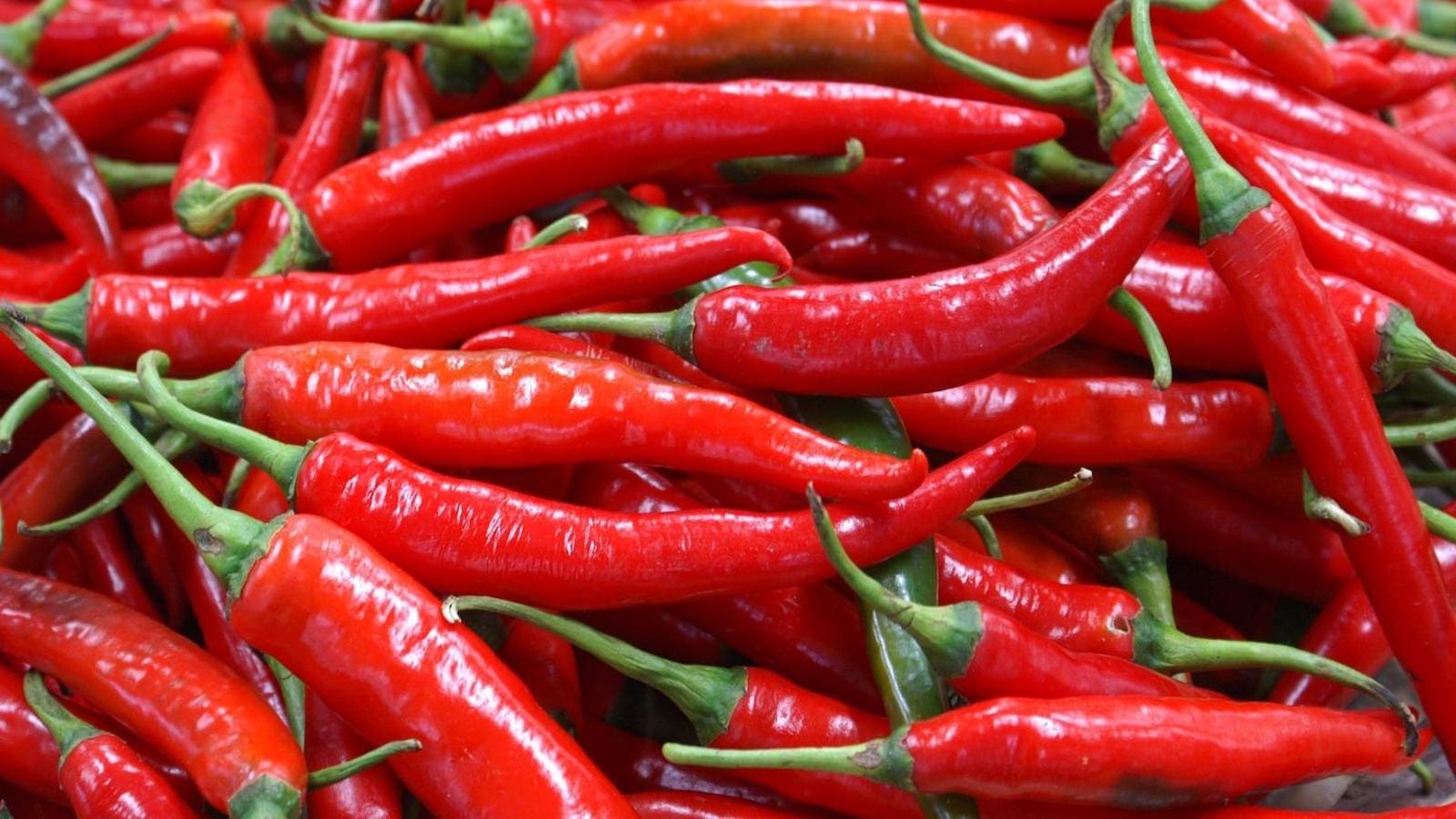 Thumbnail for Sensient Natural Ingredients, Taylor Farms expand North American operations with new acquisitions