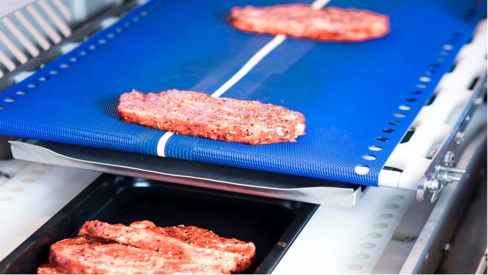 Thumbnail for Private financing sector arm Proparco issues US$25m loan to Seed Co to bolster food security