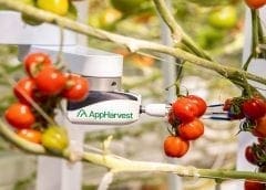 Thumbnail for Launch of Zimbabwe’s commodity exchange draws nigh to first focus on non-strategic grains