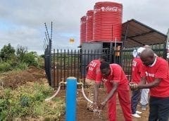 Thumbnail for Louis Dreyfus opens new R&D facility to get a foothold in the lucrative plant protein market