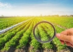 Thumbnail for Tetra Pak introduces 14 new best practice lines to bolster production of high quality cheese