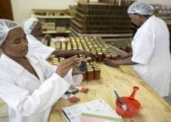 Thumbnail for Founders Factory Africa partners with Irish Small Foundation to scale agri-tech startups in Africa