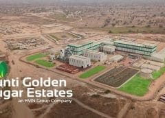 Thumbnail for Nestlé posts 7.7% organic growth in Q1 as Heineken remains resilient amid mounting challenges