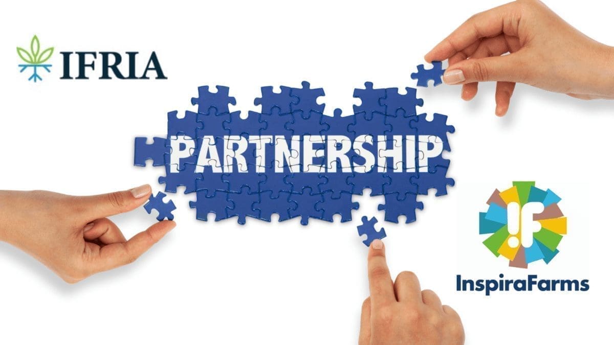 Thumbnail for East Africa poultry company Uzima Chicken receives US$3m follow-on debt from AgDevCo