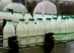 Thumbnail for Ethiopia’s dairy company Lame Dairy invests US$14.5m in new processing facility
