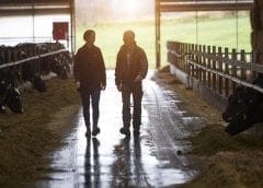 Thumbnail for Argentine candy maker Arcor partners with Webcor to establish US$45m confectionery factory in Angola