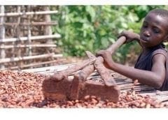 Thumbnail for RAPS launches vegan barbecue products made from pea-protein