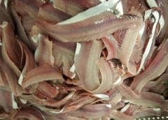 Thumbnail for Sweden boosts growth of Zambia’s food processing sector with issuance of US$4m grant to TechnoServe