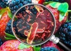 Thumbnail for Kenya Defence Forces rallies for exemption of state-owned meat processor KMC from privatization list