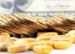 Thumbnail for AppHarvest acquires agricultural robotics company as Singaporean firm deploys robots in grocery delivery