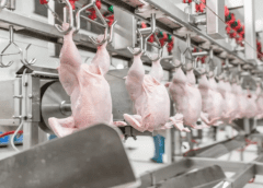 Thumbnail for Monster Beverage revenue leaps 13.9% in FY22 boosted by pricing actions and moderating supply chain challenges