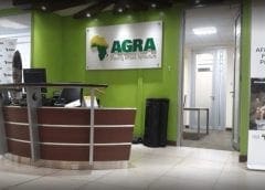 Thumbnail for Hilmar to build new cheese and whey facility in Kansas to meet rising demand