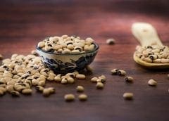 Thumbnail for KALRO receives digitization equipment to modernize crop breeding, CIMMYT releases 12 new maize lines