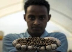 Thumbnail for Nestlé throws its weight behind EU fight against deforestation