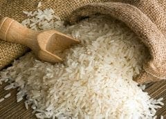 Thumbnail for South African foodtech company Mogale Meat unveils Africa’s first cultivated chicken breast