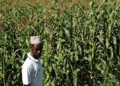 Thumbnail for Hapag-Lloyd offers better connectivity between East Africa, Asia with launch of new westbound voyage service EAS3