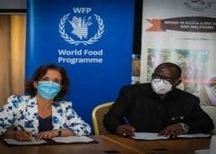 Thumbnail for Tate & Lyle’s profits jump 6% buoyed by strong growth in Food & Beverage Solutions