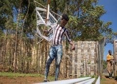 Thumbnail for Argentina’s milk production to rise to 11.58m tons in MY2021 as producers ramp up production to offset low margins