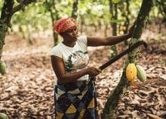 Thumbnail for Zambian Breweries welcomes quick meal producer Java Foods to its waste recycling initiative