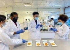 Thumbnail for Kenya’s sugar imports to decline by 37% following restrictive trade to boost local production