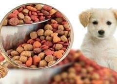 Thumbnail for Palsgaard appoints Michael Skriver as new global CCO