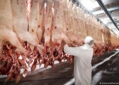 Thumbnail for CVC Capital acquires majority stake in German nutrition firm The Quality Group