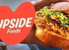 Thumbnail for PepsiCo’s snack division Frito-Lay to invest US$245m in expansion of US manufacturing site