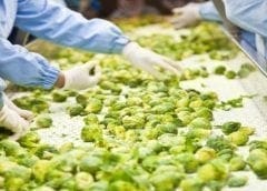 Thumbnail for Zimbabwe’s African Distillers Limited reports rise in sales volume triggered by surge in spirits demand