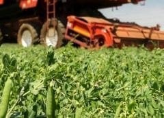 Thumbnail for Smart irrigation company SupPlant raises US$10m to grow presence in South Africa