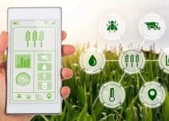 Thumbnail for <strong>IFC champions establishment of digital economy with new US$225m financing platform for startups</strong>