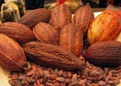 Thumbnail for Kenya Association of Manufacturers launch body to address post-consumer waste