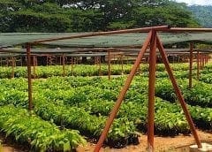 Thumbnail for Barry Callebaut bolsters presence specialty chocolate market with acquisition of Europe Chocolate Company