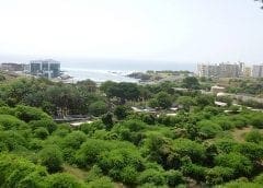 Thumbnail for Bühler supports Ghana in building capacity of cocoa industry, Ivory Coast-Ghana Cocoa Initiative names Chairperson