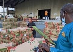 Thumbnail for Food-tech startup Kune Food readies to serve Kenyans healthy, affordable meals following closure of US$1m pre-seed funding