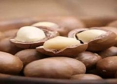 Thumbnail for Richardson diversifies into durum processing with acquisition of US miller Italgrani