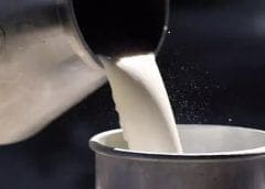 Thumbnail for Fortune International mergers its import division due to redundancy