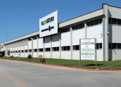 Thumbnail for Zimbabwe to undertake inaugural artificial insemination on rabbits in partnership with South African specialist