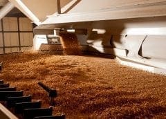 Thumbnail for South African packaging manufacturers Consol, Mpact expand production capacities to meet demand